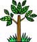 Plantamed - Plantas e Ervas Medicinais. Fitoterapia e Fitoterápicos.